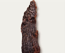 Load image into Gallery viewer, People's Choice Beef Jerky 2oz Tasting Kitchen - Cherry Cola