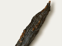 Load image into Gallery viewer, People's Choice Beef Jerky 2oz Tasting Kitchen - Dill Pickle